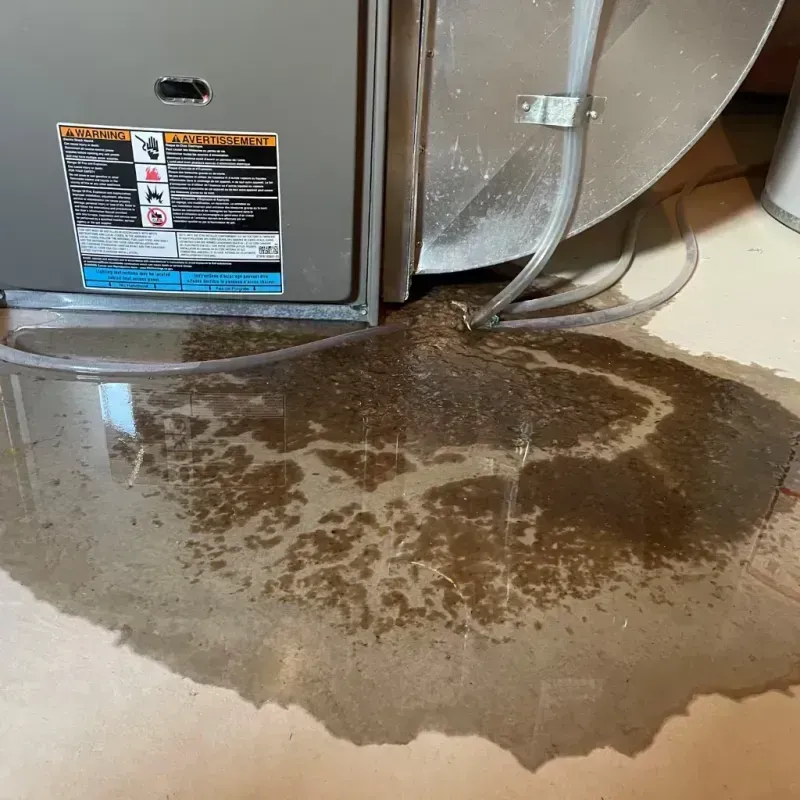 Appliance Leak Cleanup in Isle of Hope, GA